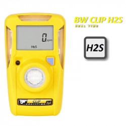 BW Clip Real Time H2S