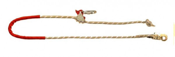 LONGE DE MAINTIEN AU TRAVAIL 2 M HOLDING BRAKE HOOK